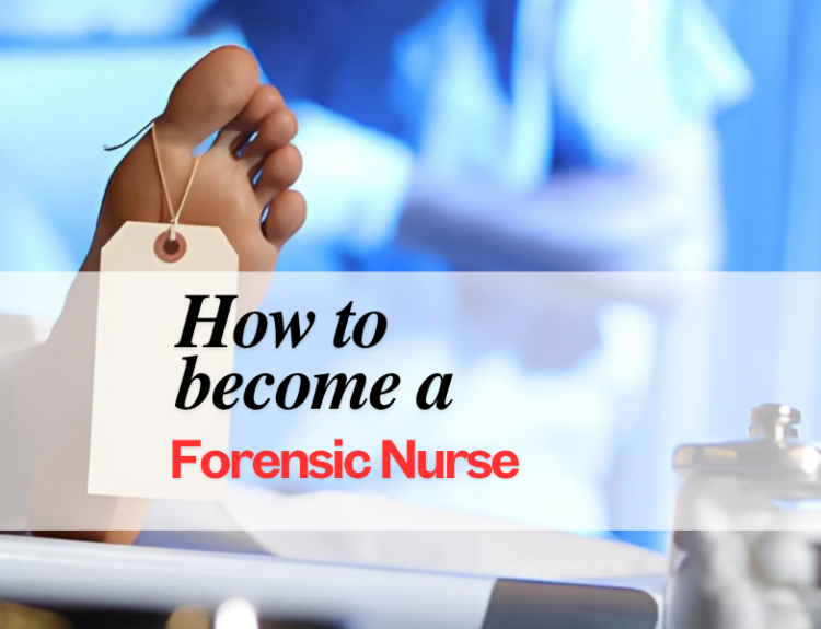 Forensic Nursing Career