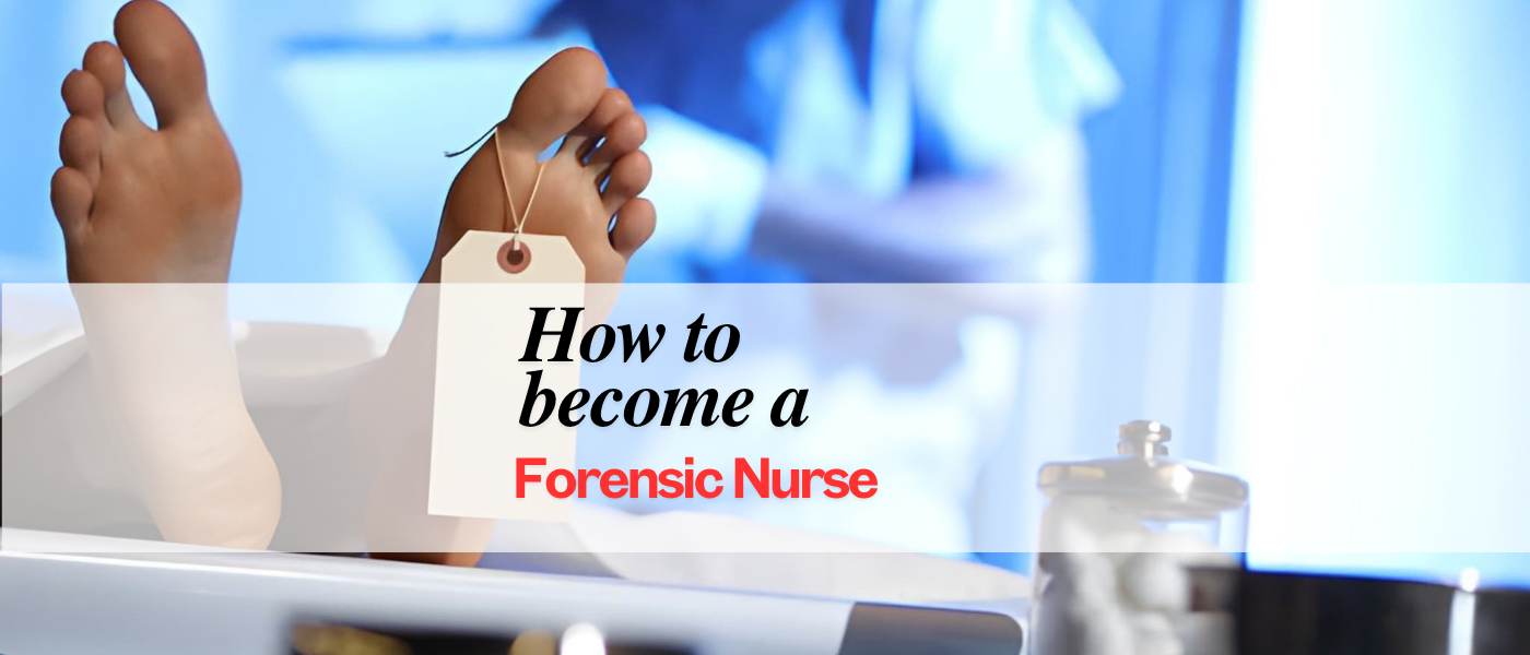 Forensic Nursing Career
